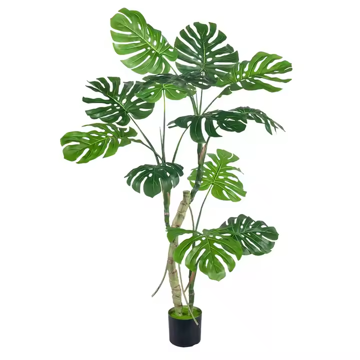 Realistic Turtle-Backed Bamboo Potted Plants Green Ground Plants