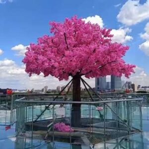 cherry-blossom-tree-commercial-project