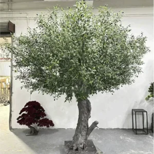 Artificial Olive Tree For Indoor Hotel and Restaurant