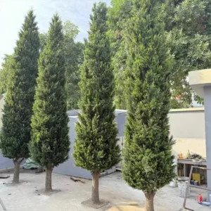 Customizable artificial pine and cypress trees