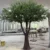 Large Artificial Olive Tree