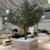 Artificial Olive Tree for Restaurant Decoration