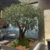 Commercial Artificial Olive Tree for Shopping Mall