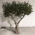 Artificial Olive Tree Fiberglass Trunk