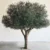 large-faux-olive-tree-restaurant-interior-design