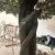 natural-texture-artificial-olive-tree-trunk