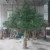 premium-mediterranean-artificial-olive-tree-design