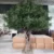 mediterranean-olive-tree-outdoor-patio-decoration