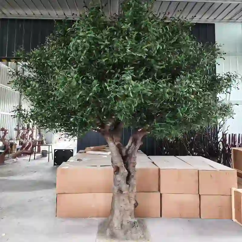 mediterranean-olive-tree-outdoor-patio-decoration