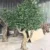 luxury-artificial-olive-tree-home-interior-decoration