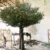 artificial-olive-tree-resort-mediterranean-style