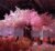 large-artificial-cherry-blossom-tree-for-event-decoration