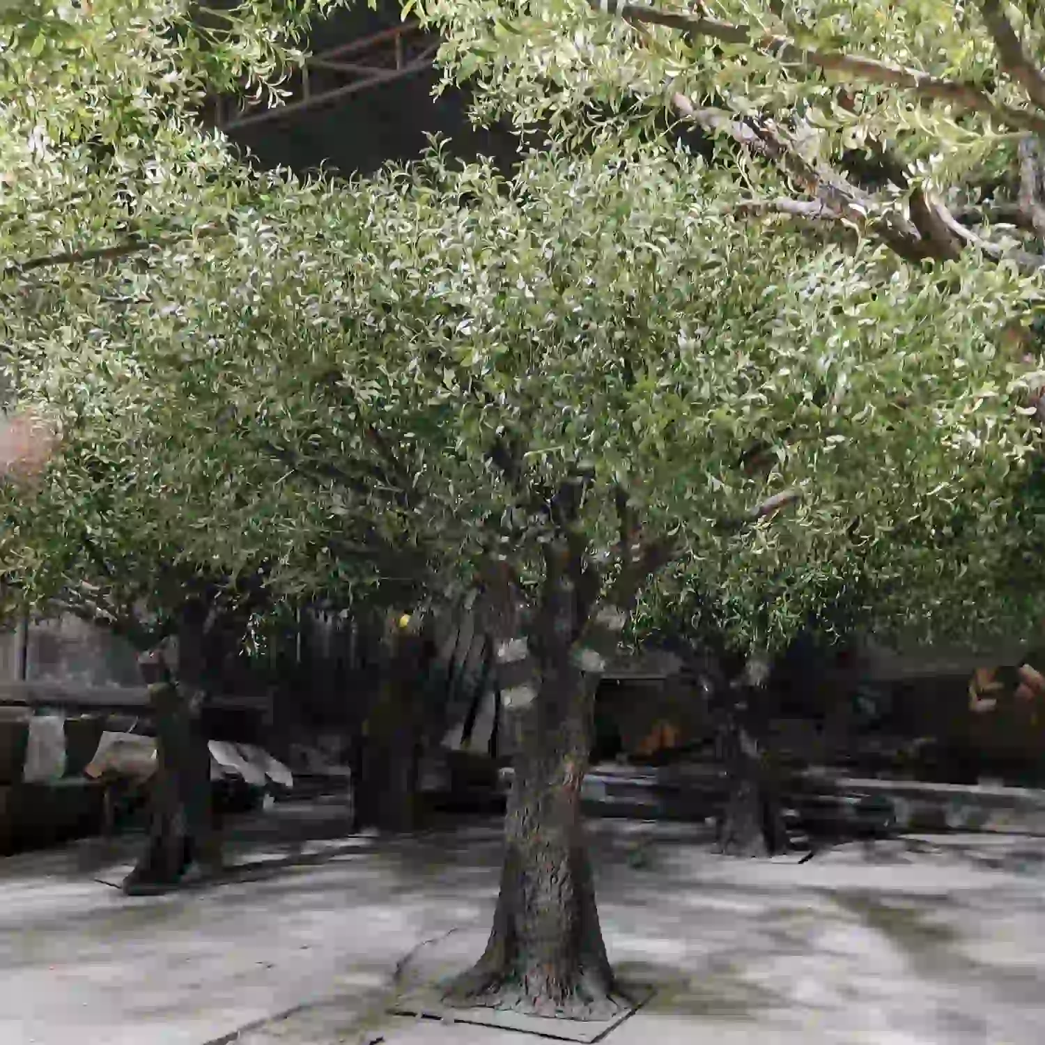 natural-branch-structure-artificial-olive-tree