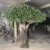 artificial-olive-tree-luxury-villa-garden