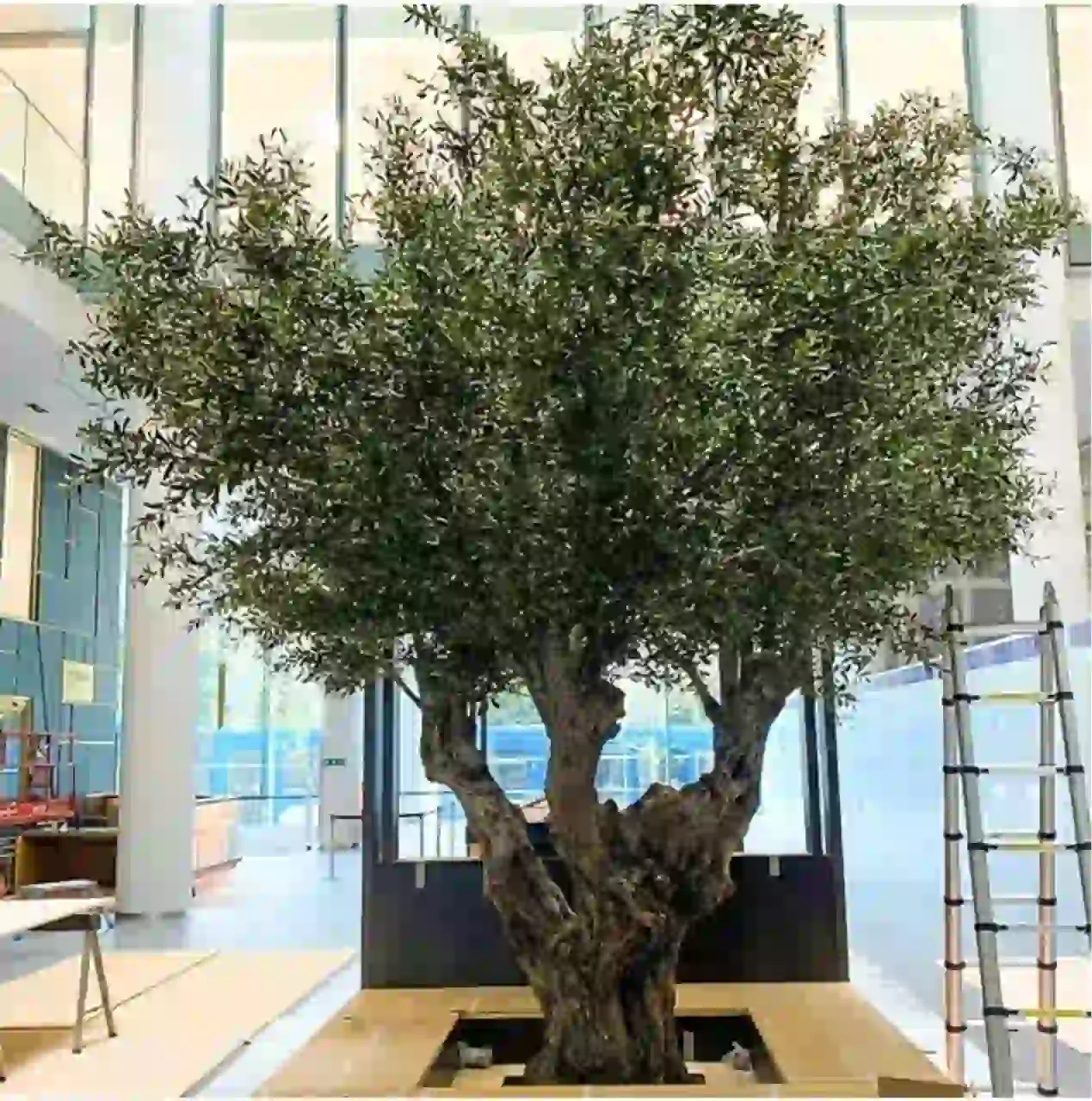 mediterranean artificial olive tree