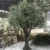 Mediterranean artificial olive tree for hotel decoration