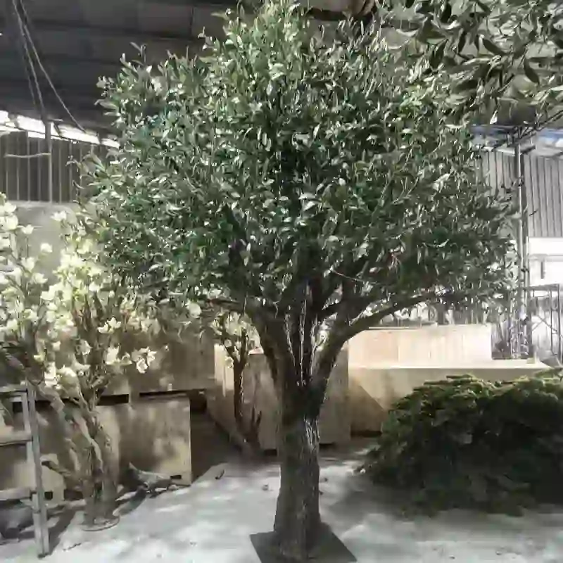 Mediterranean artificial olive tree for hotel decoration